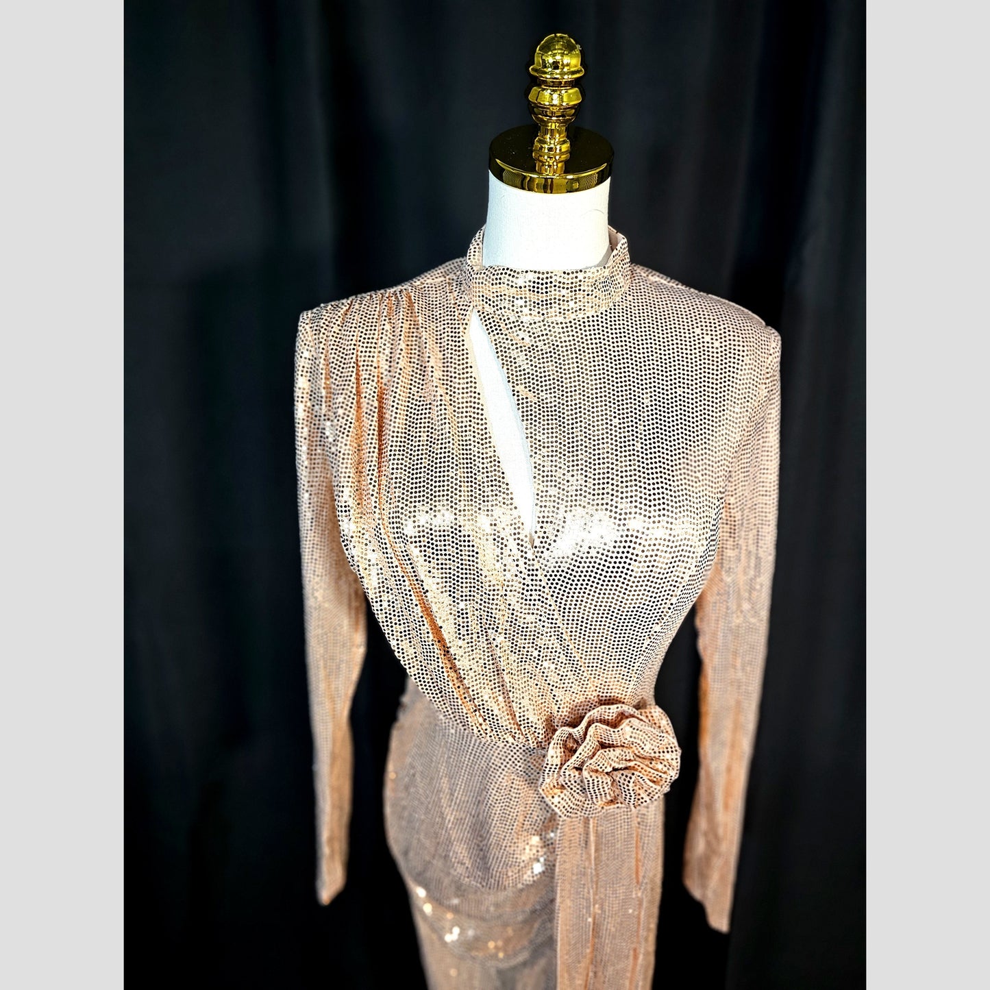 Glimmering Goddess: The Dazzling Evening Gown