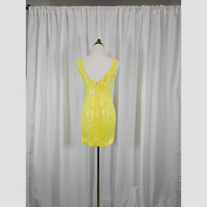 Sunny Sparkle Sequin Dress: Shine Bright Like a Star!