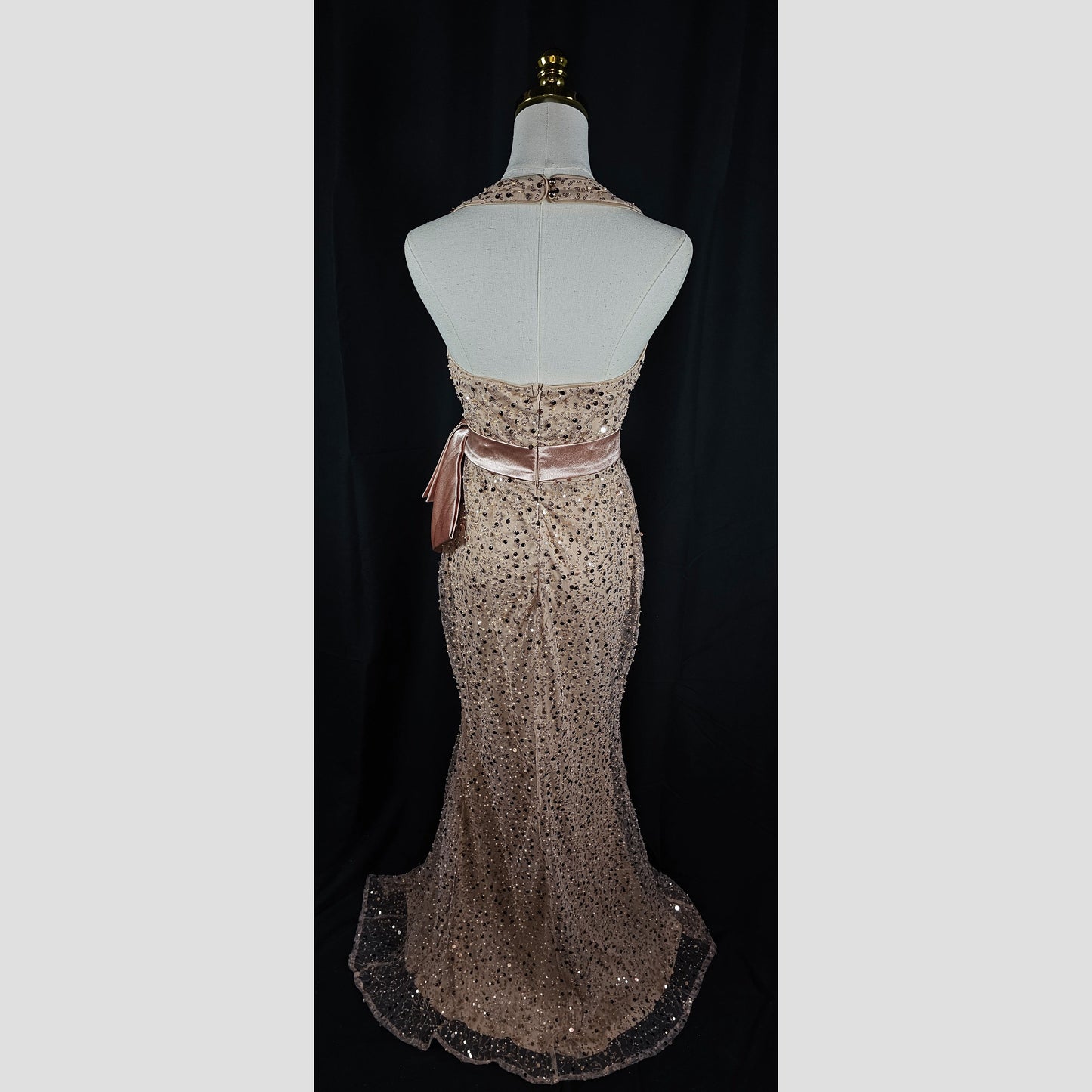 Glamorous Goddess Evening Gown: The Sparkle Edition