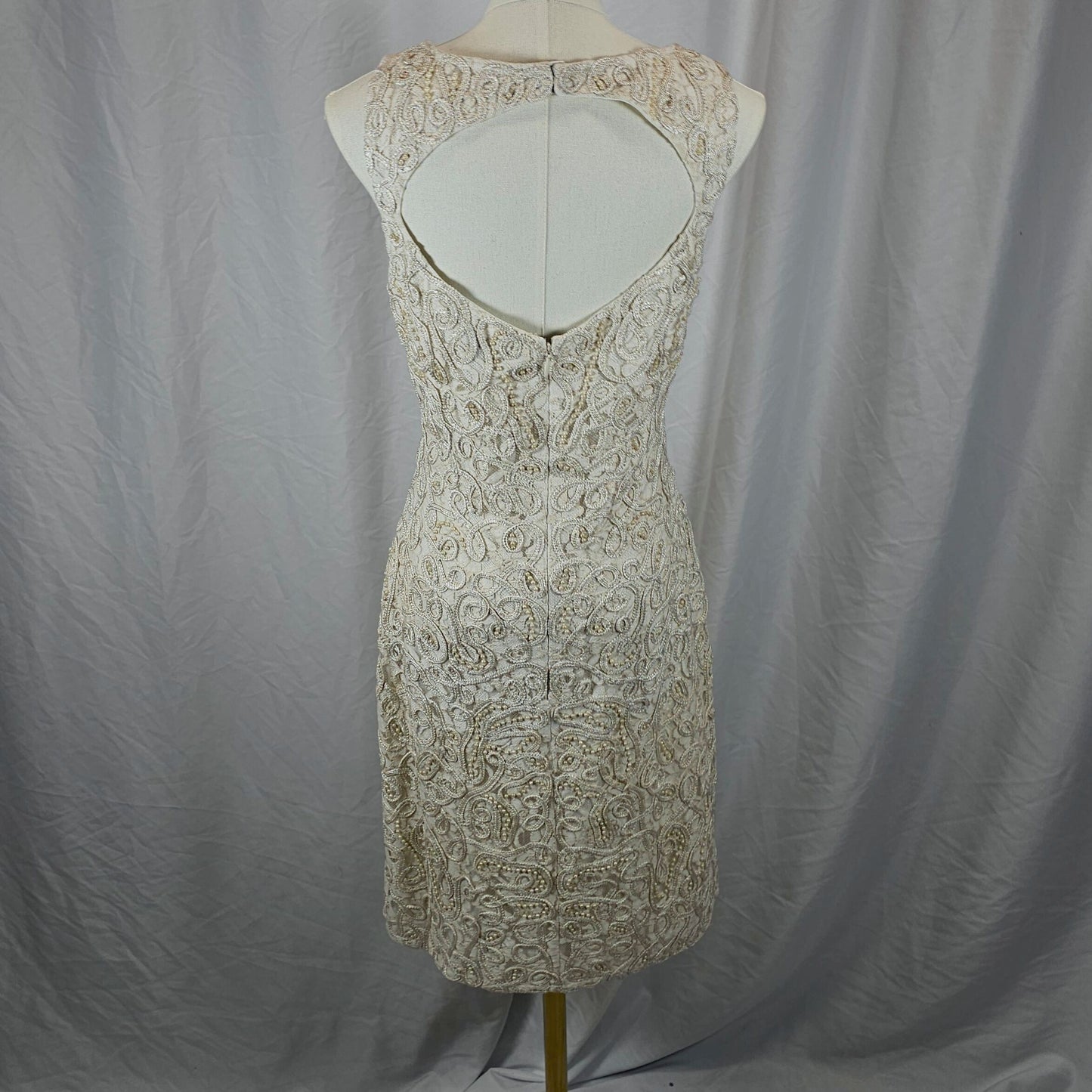 Bold Champagne Lace Dress with Mesmerizing Back Cutout