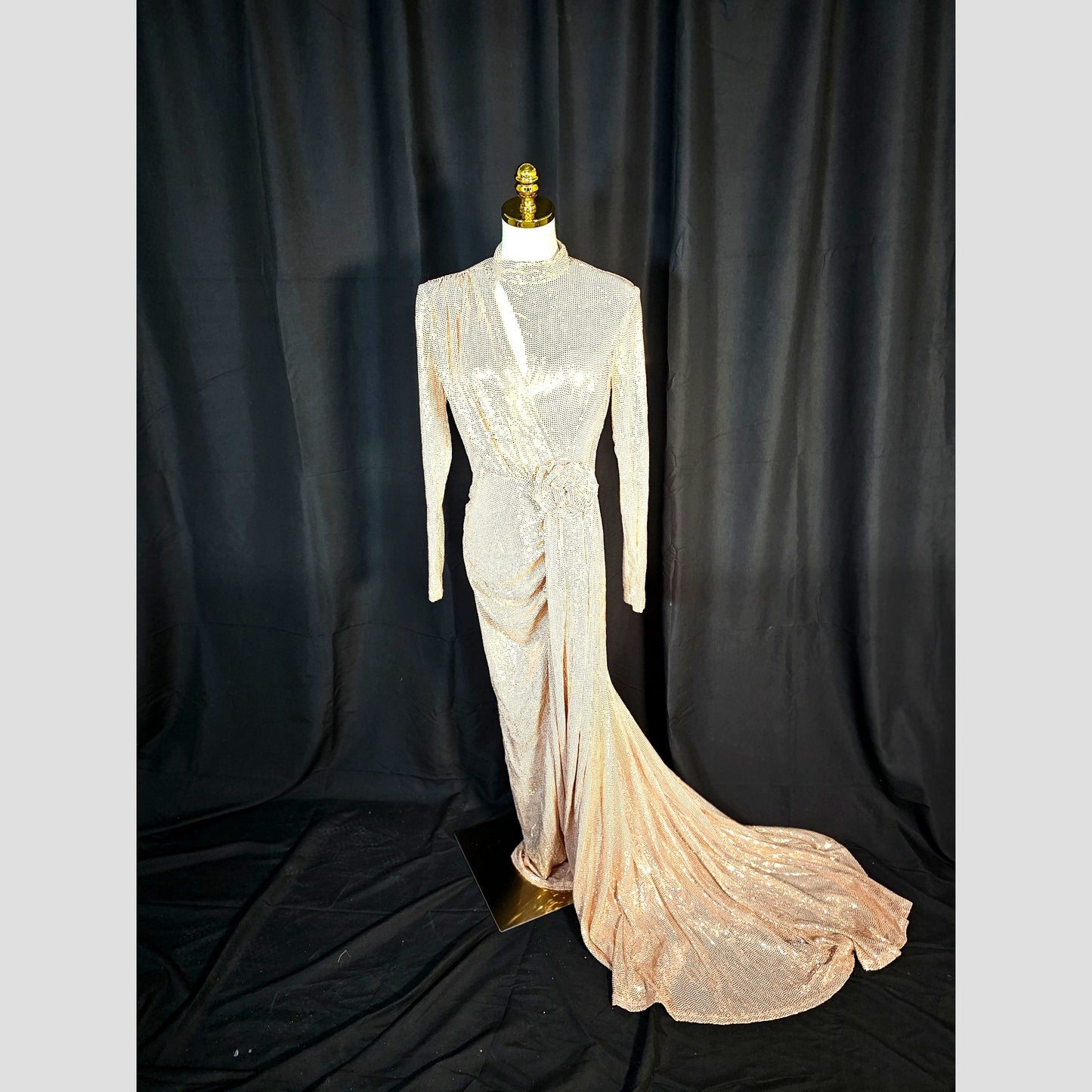Glimmering Goddess: The Dazzling Evening Gown
