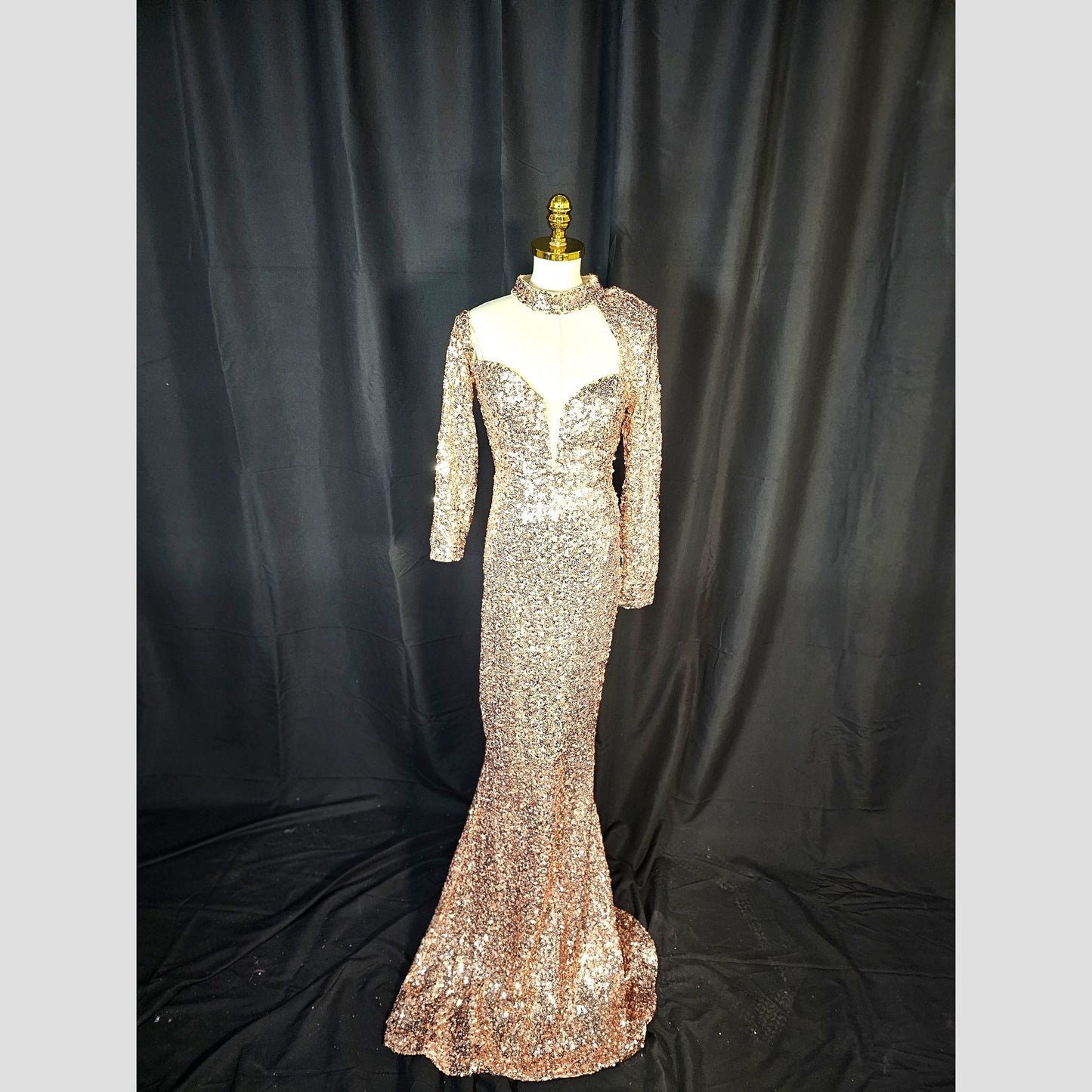 Glimmer Goddess Evening Gown