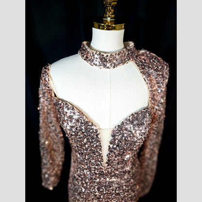 Glimmer Goddess Evening Gown