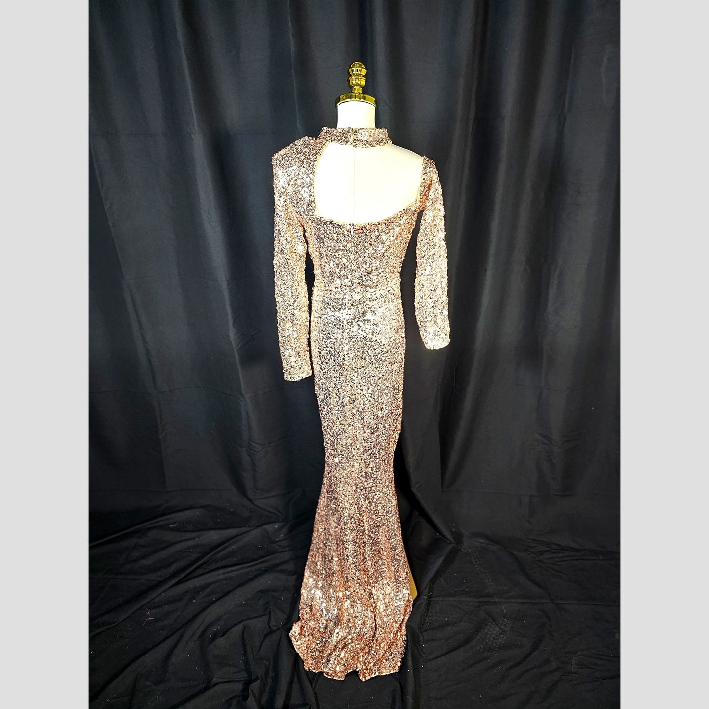 Glimmer Goddess Evening Gown