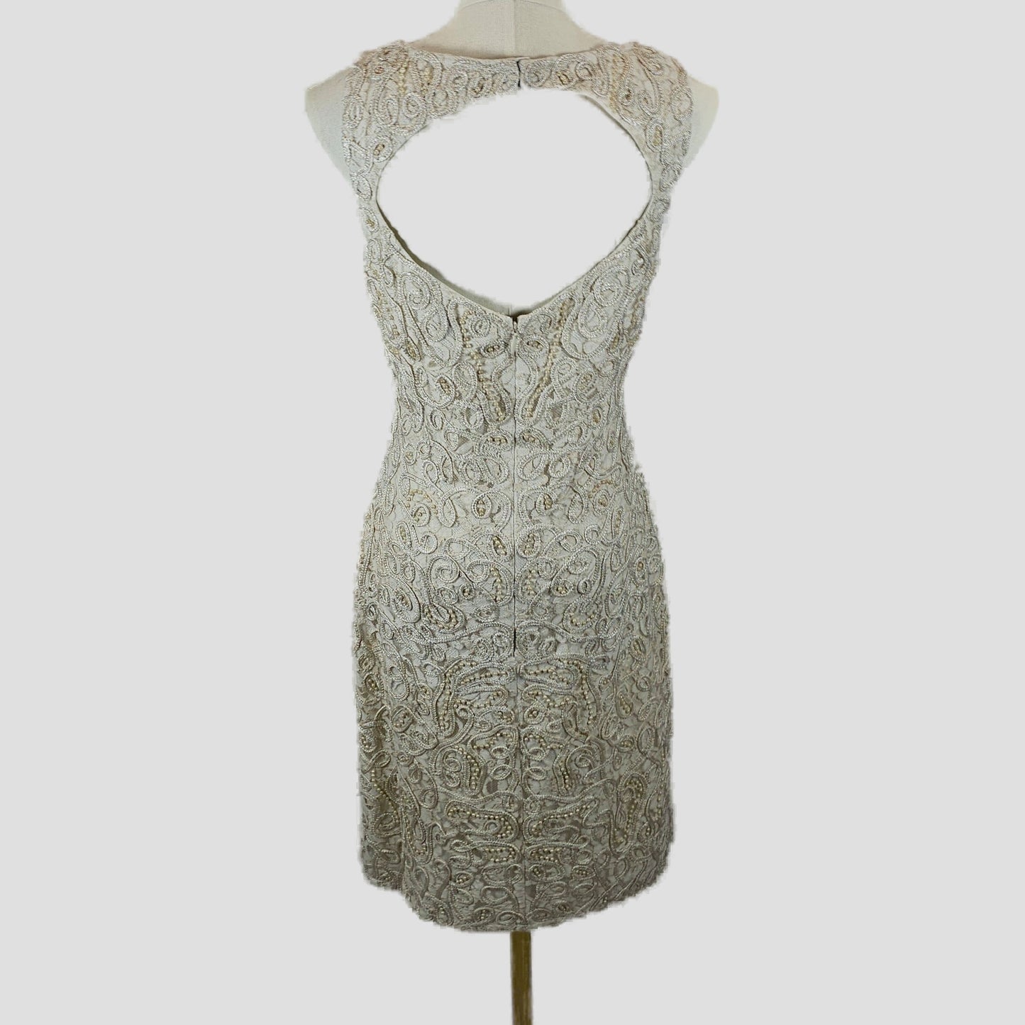Bold Champagne Lace Dress with Mesmerizing Back Cutout