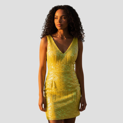 Sunny Sparkle Sequin Dress: Shine Bright Like a Star!
